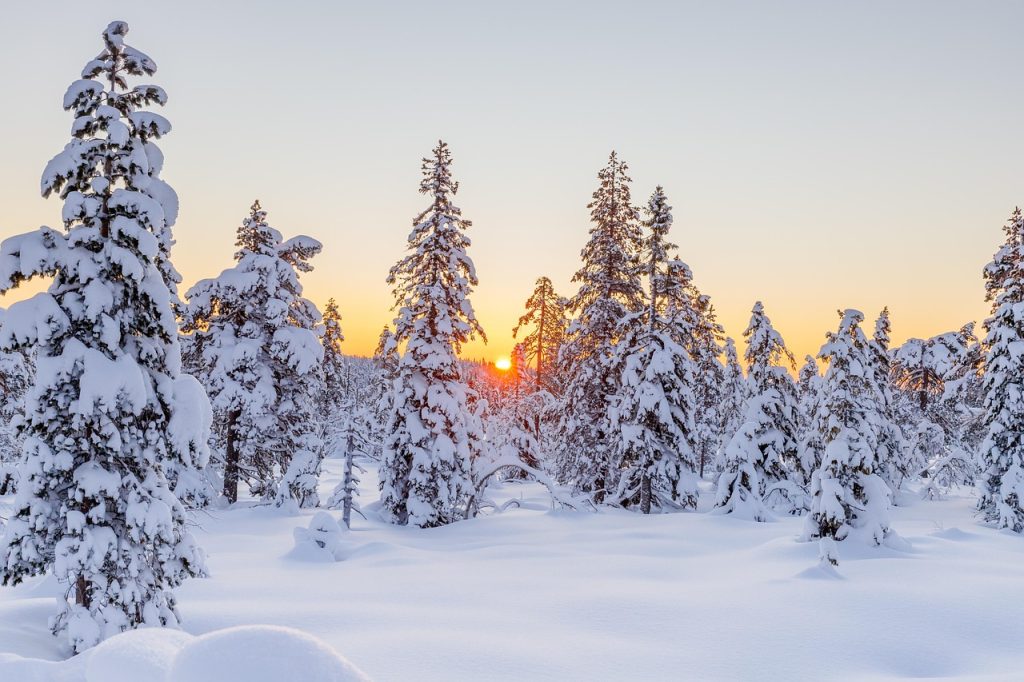 winter 5892335 1280